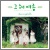 uDigital Single[Once In Summer]vWP